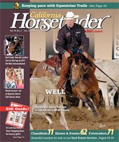Horsetrader cover